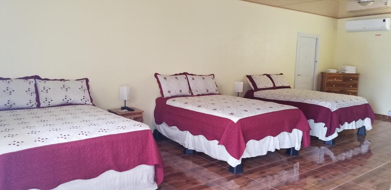 Hostal B&d *